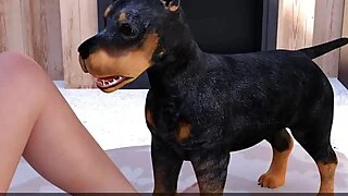 xnxx 31